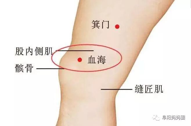 2 血海 屈膝,在大腿内侧,髌底内侧端上2寸,当股四头肌内侧头的隆起处