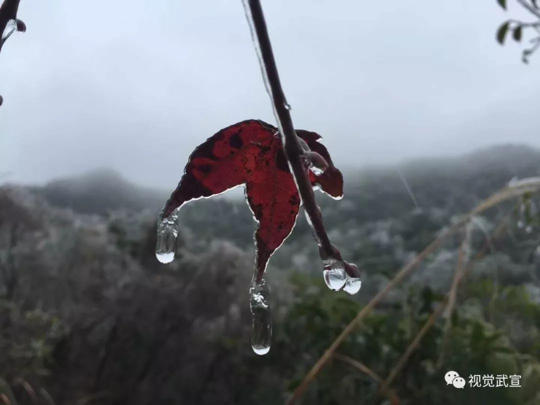 的天气预报并没有骗人当小编还在裹被子睡觉的时候,武宣户外达人小江