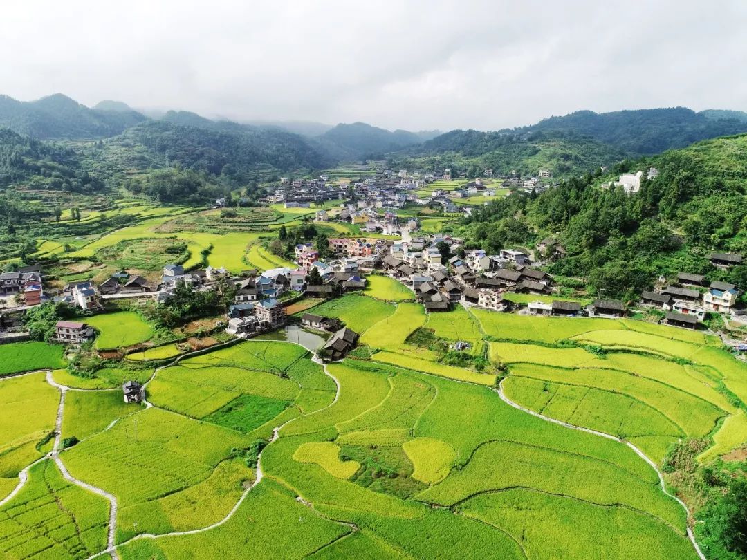 农村人口土地_农村人口(2)