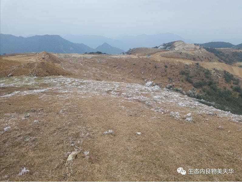 大余人口有多少_最新 宁都经济实力超越瑞金 兴国 石城等,排名赣南18县 市 区(3)