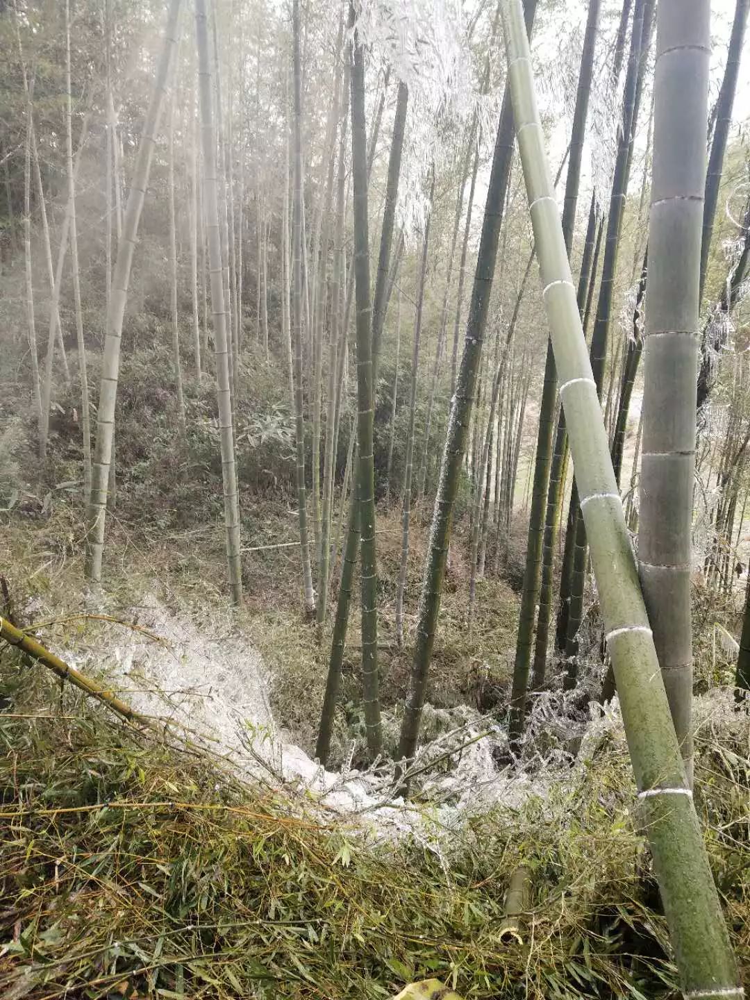 永新人口_吉安永新为之胆寒的路口,永新人你知道吗