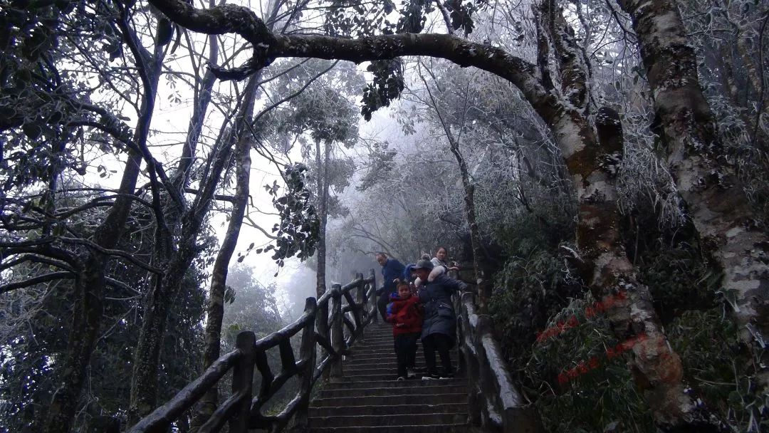 凭什么霸屏?这是美丽冻人的东兰神仙山冰景