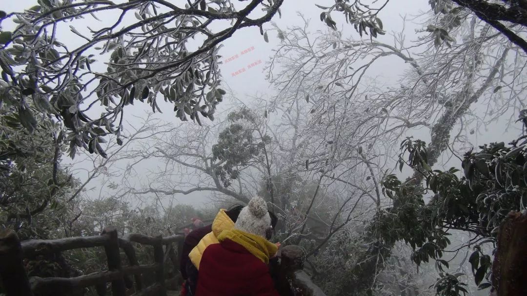 凭什么霸屏?这是美丽冻人的东兰神仙山冰景