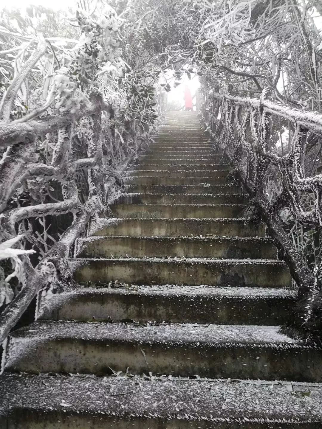 河池进入冷冷冷时间,这些地方下起雪了,一起来看雪景