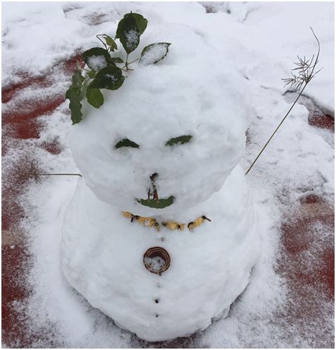 是一个有残疾的雪人儿简约派雪人儿豌豆雪人儿叮当猫瞧,树上那只兔子!