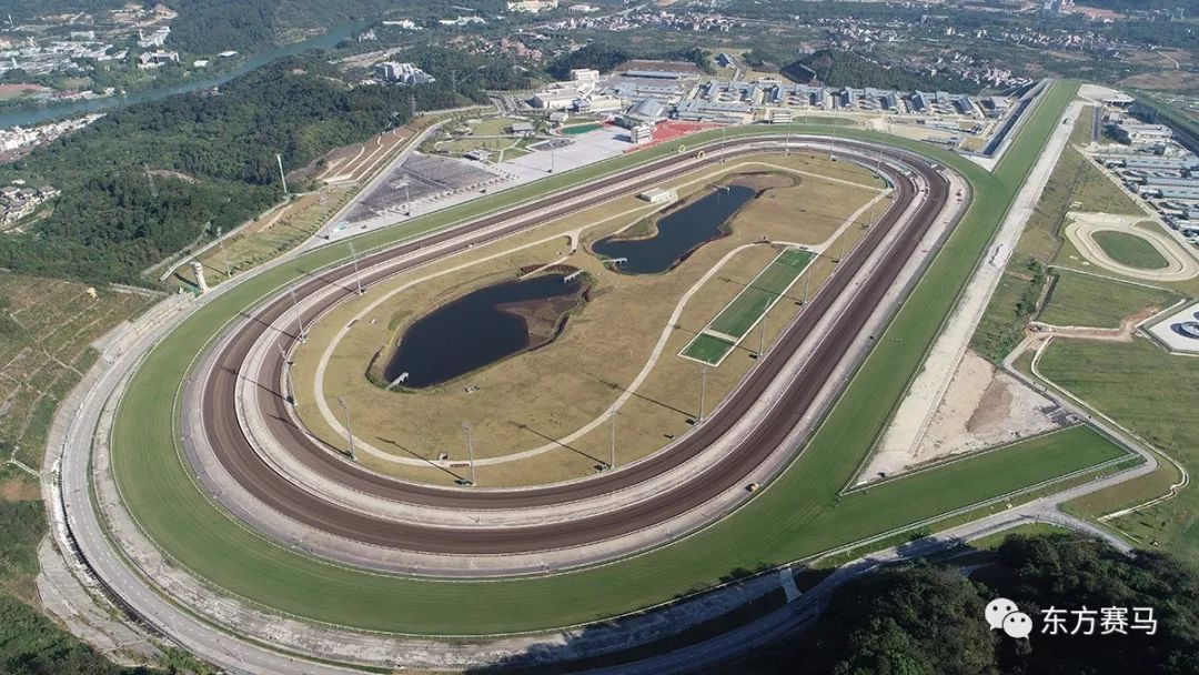 香港赛马会将于3月23日在从化马场举办首项世界级速度