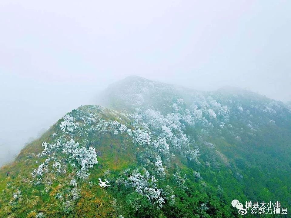 横县宝华山南山结冰啦