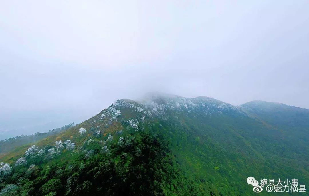 横县宝华山南山结冰啦