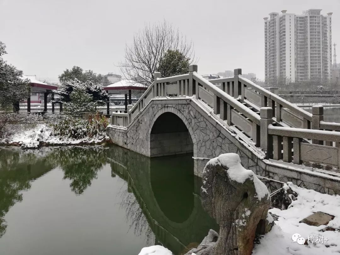 雪化了！樟树天气即将反转！大幅度升温！还有昌吉赣高铁2019通车时间定了！