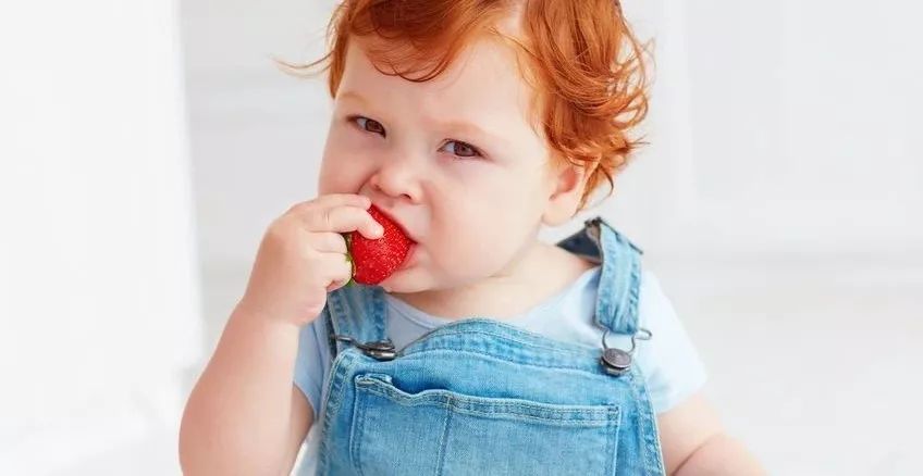 不給孩子吃草莓，真正的理由只有 1 個 未分類 第7張