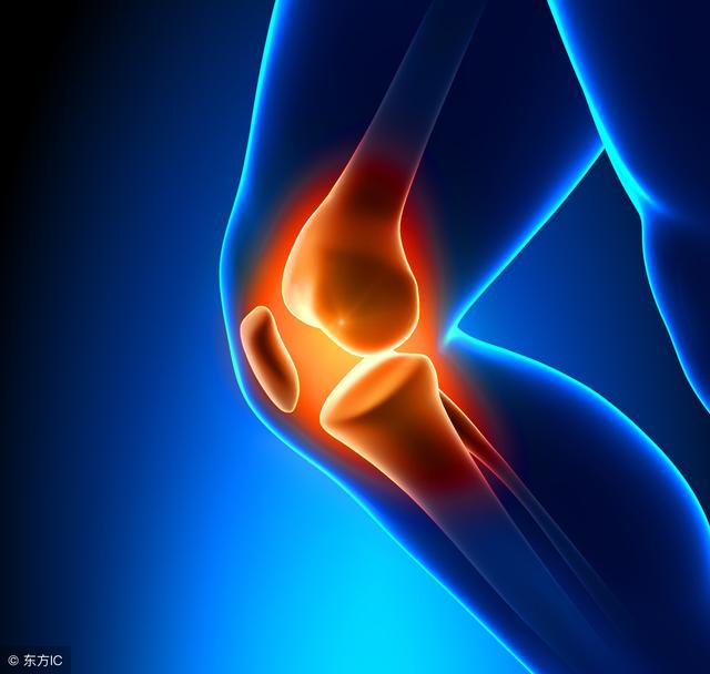運動如何保護膝蓋的機能 未分類 第1張