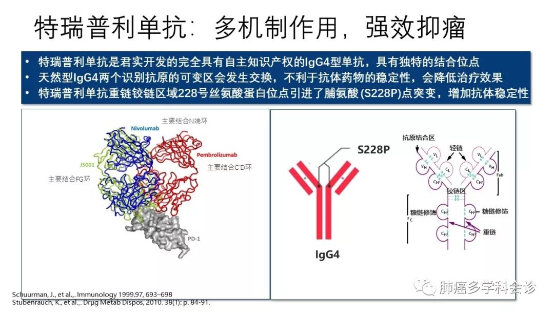 君实生物pd1抗体特瑞普利单抗拓益介绍