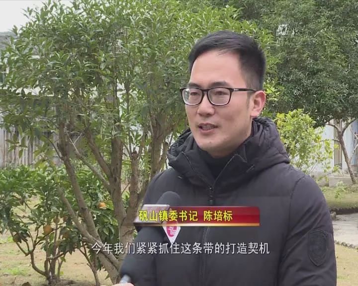 矾山镇委书记 陈培标