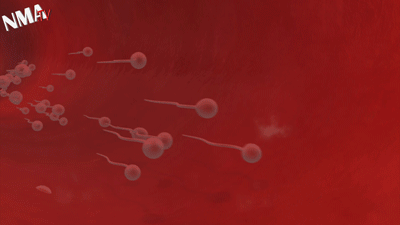 精子離開男性身體後，還能活多久？ 未分類 第9張