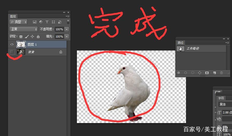 ps钢笔工具抠图讲解,photoshop钢笔抠图教程