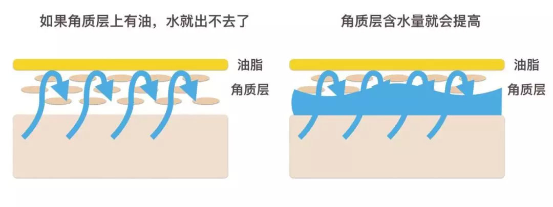 冬季嘴唇發幹、起皮不是缺水，可能是一種病！|冬季專題 健康 第3張