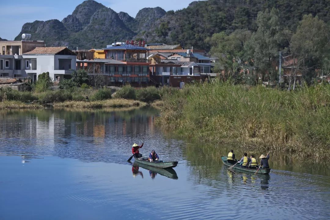 餐饮,客栈,宾馆,酒店服务业,包括蒲草塘片区,双龙营镇普者黑村,仙人洞