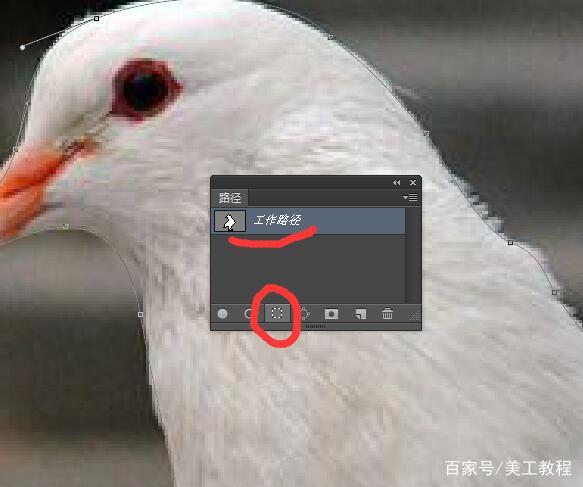 ps钢笔工具抠图讲解photoshop钢笔抠图教程