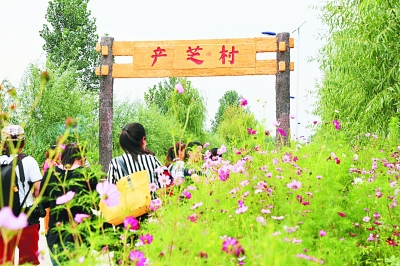 莱西市产芝村共流转土地600多亩,村民靠生态旅游富裕起来.资料图片