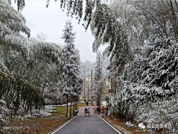 美爆合江福宝玉兰山景区下雪啦