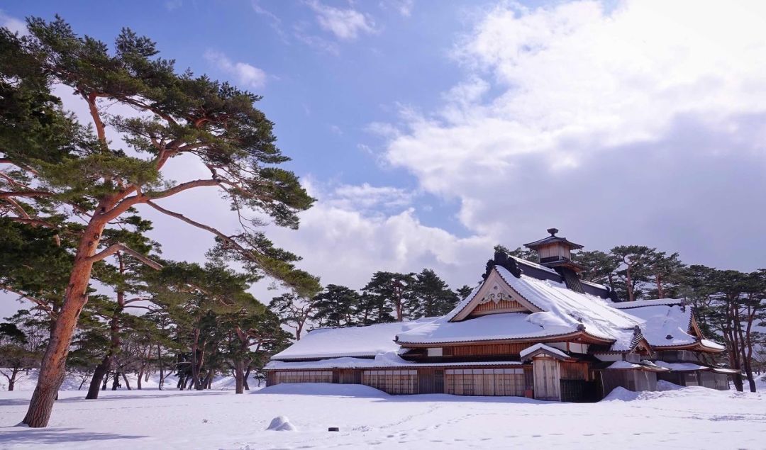 北海道的雪,满足了我对冬天的所有幻想