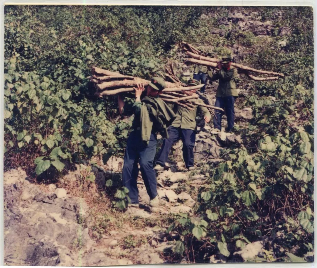 上世纪80年代,支队老一辈官兵上山砍柴供烧火使用.