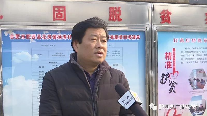 花岗镇杨湾村党总支书记 鹿爱民