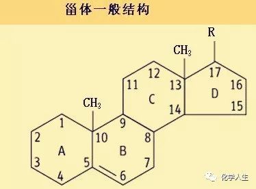 生僻字谐音歌词