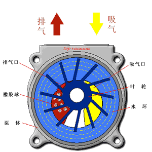 衬氟磁力泵动画(图21)