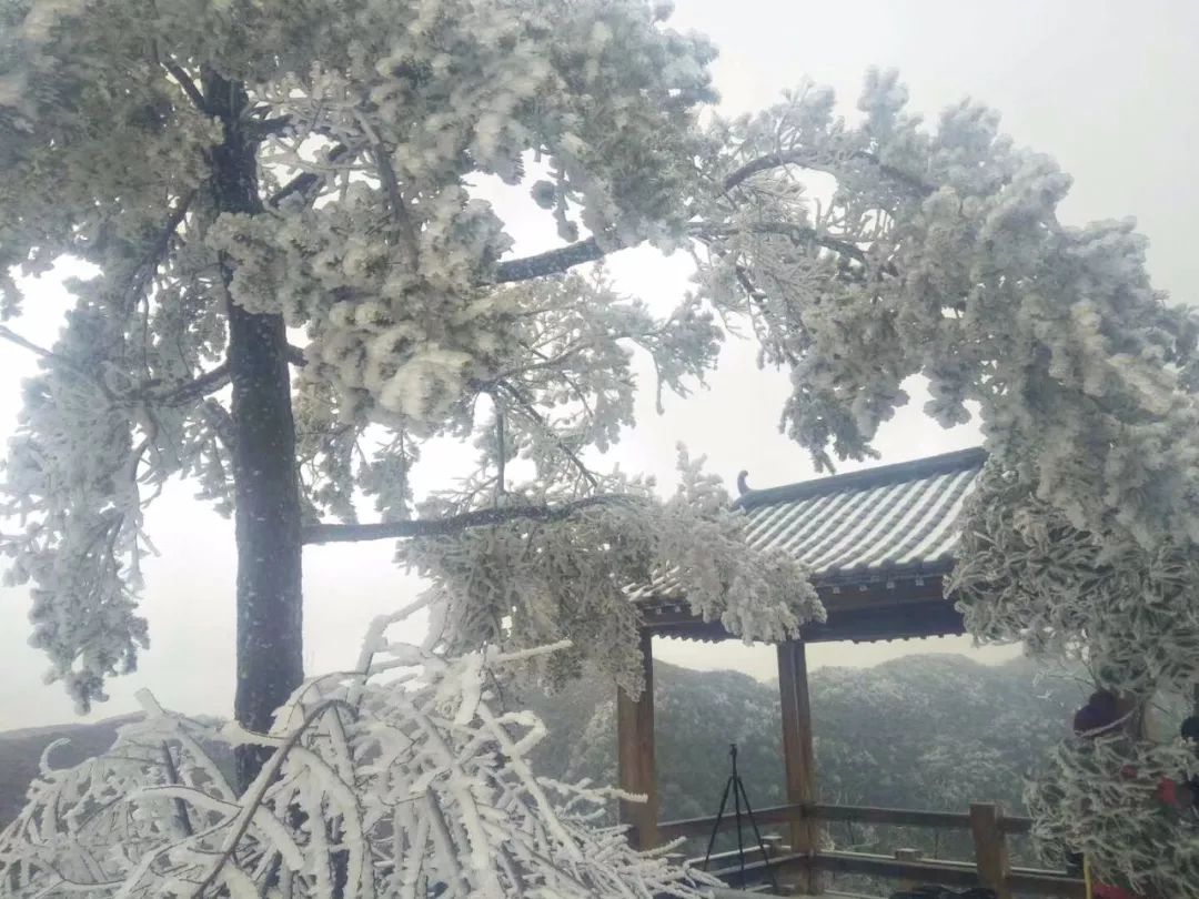 什么雪皑皑成语_雪之下雪乃