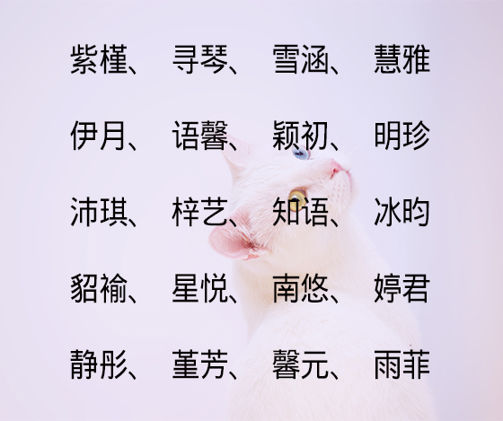 抱歉，出了点问题，请重试看看~（女孩名字用哪个媱字好）