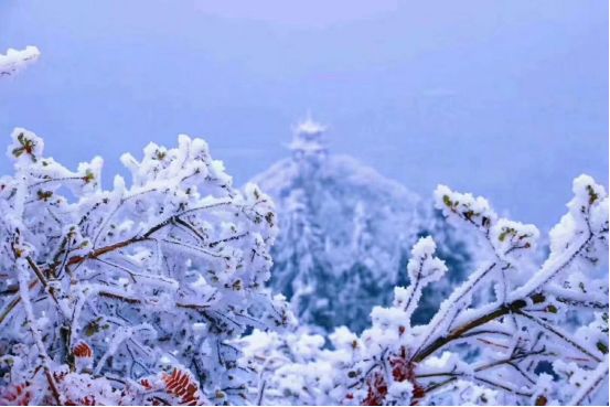 小镇的雪景太美, 即使再寒冷, 龙泉山也银装素裹, 此时的丹寨万达