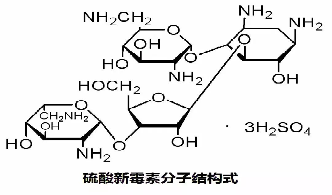 提取小檗碱靠的是什么原理_幸福是什么图片(3)