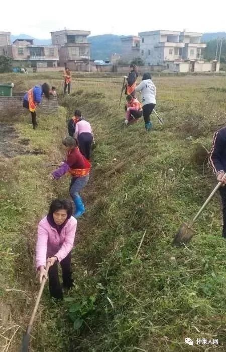 为您梳妆打扮怀集县巾帼志愿者奉献力量建设美丽家园