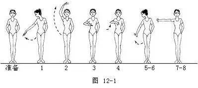 舞蹈的手位,步位,步法的基础知识