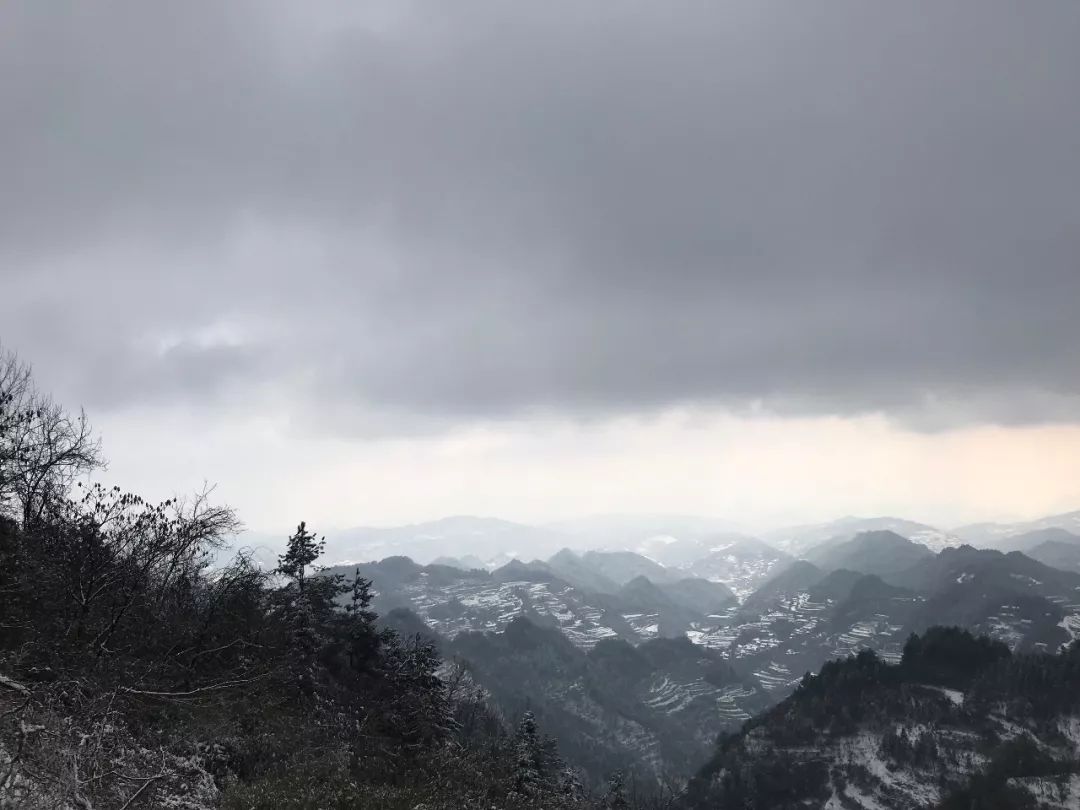 湘西保靖白云山国家自然保护区琼花玉树,更似人间仙境