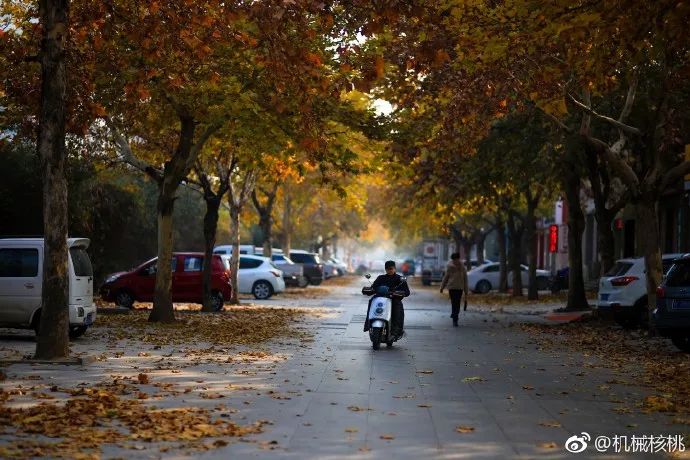 鹤壁有多少人口_河南最小地级市,市区经历三次搬迁