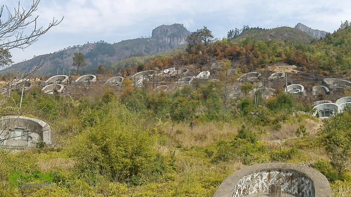 老太太急忙跑下坟山,喊来家人帮忙.