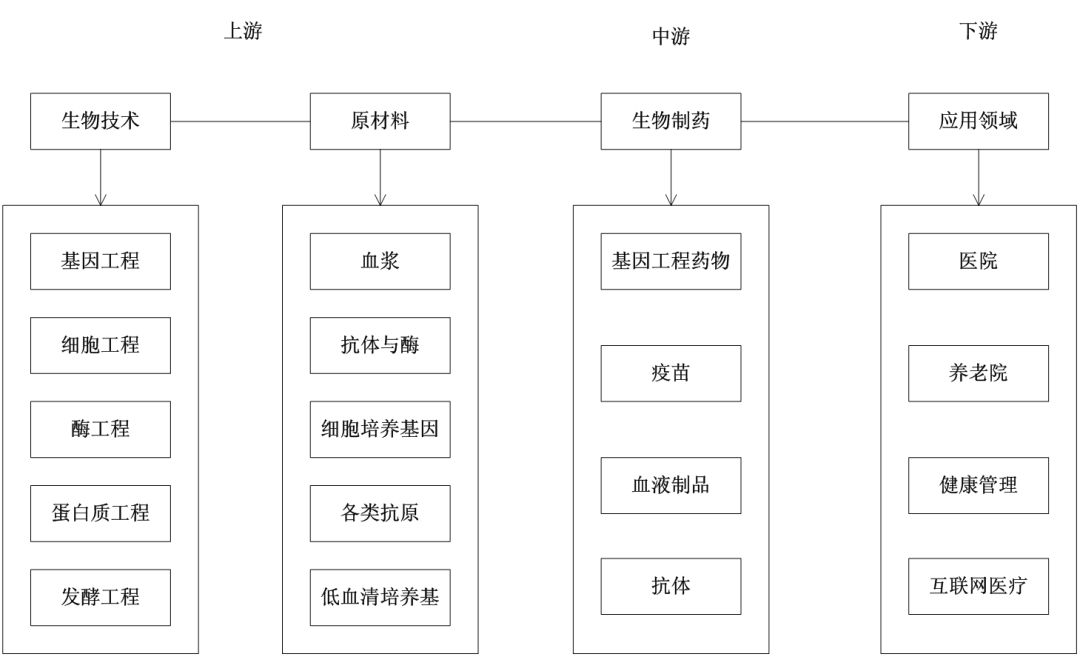 生物技术产业链