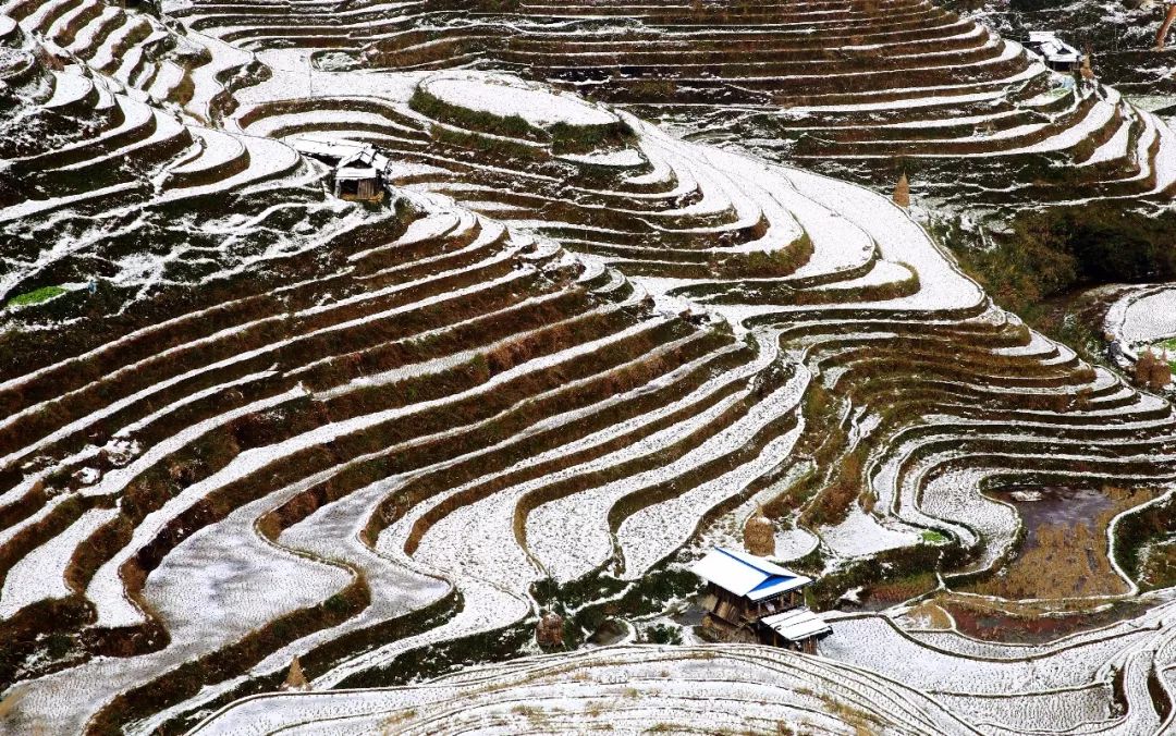 贵州榕江:梯田雪景美