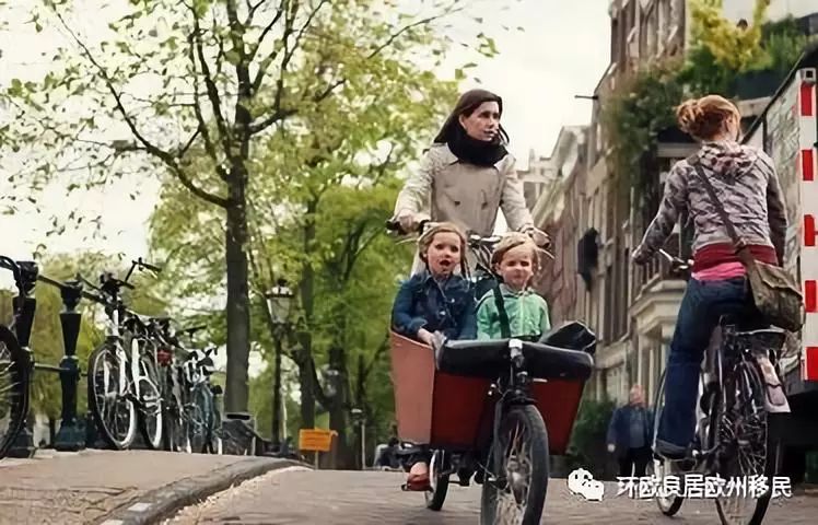 移民,是荷兰大城市人口增长的动力