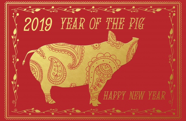 猪年用英语应该说year of the pig,或者year of the boar.