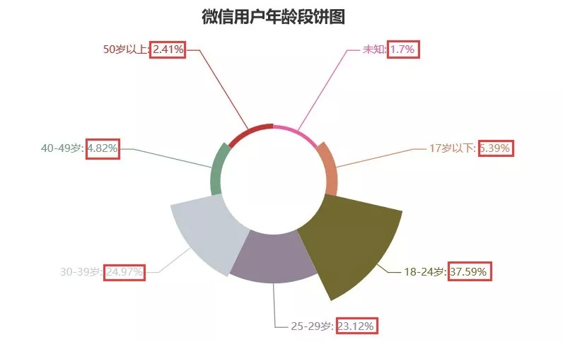 (图片说明:用户年龄段分布玫瑰饼图)