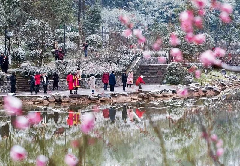 "十二金钗"大观园梅花园是南川打造的重庆