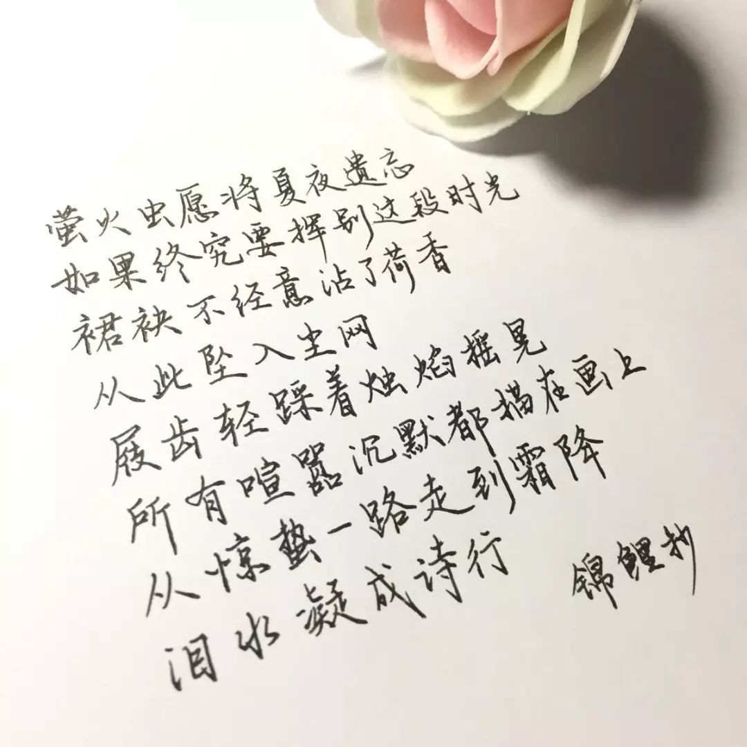 锦鲤抄曲谱_锦鲤抄简谱(4)