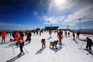 今年冬天,浙江又新增了3个室外滑雪场!