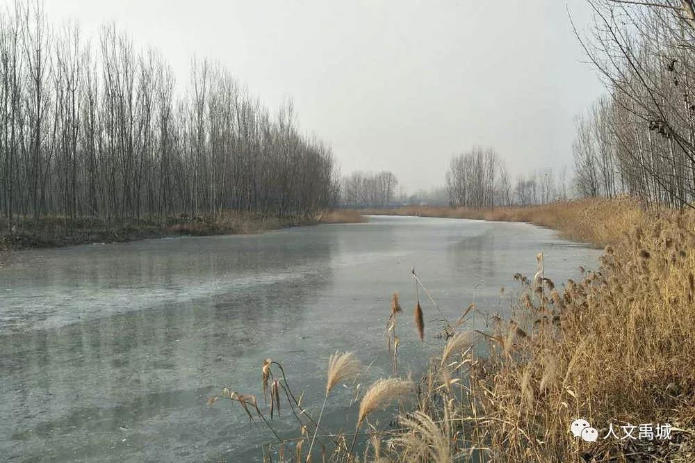 苇河是禹城市历史悠久的排涝河道.