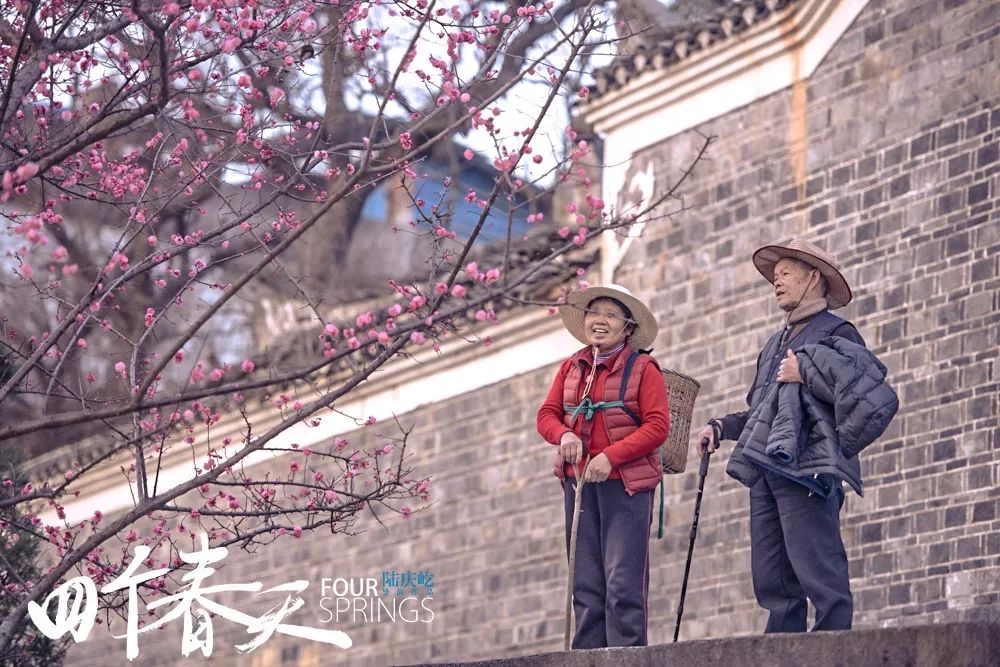 【一月片單】新年快來，一月片單請查收！