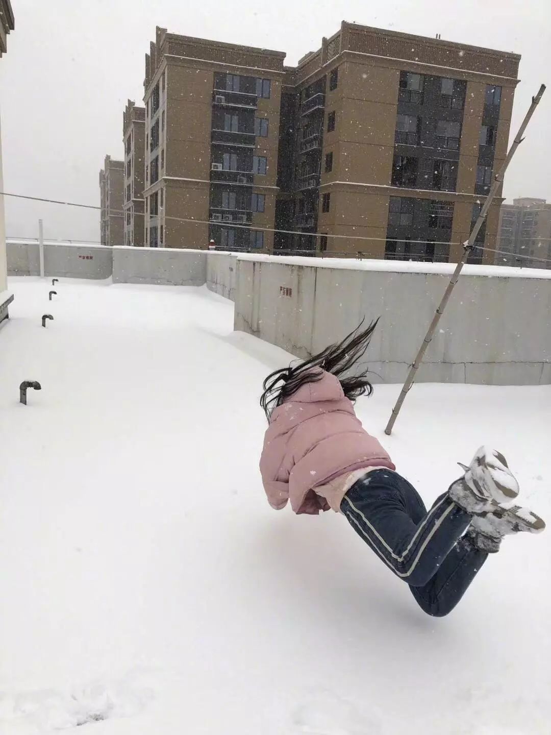 來玩兒啊～～打雪仗啊～有醫保的來！丨爆笑囧圖 汽車 第10張