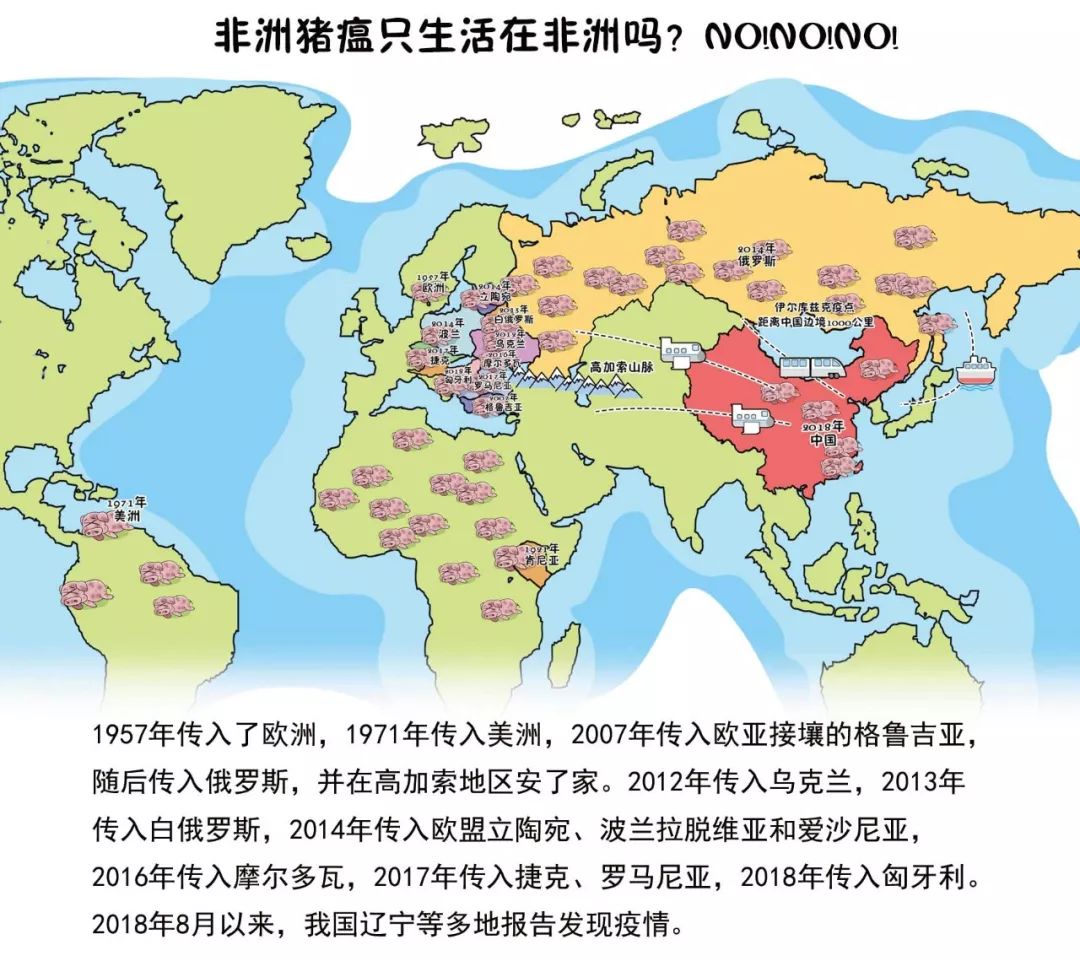 云南人口买卖市场_90秒 天下事 12.25